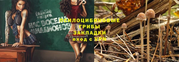 молекула духа Алзамай