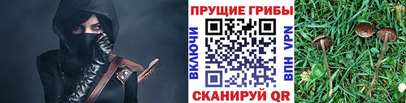 shop клад  Мончегорск  Галлюциногенные грибы MAGIC MUSHROOMS 